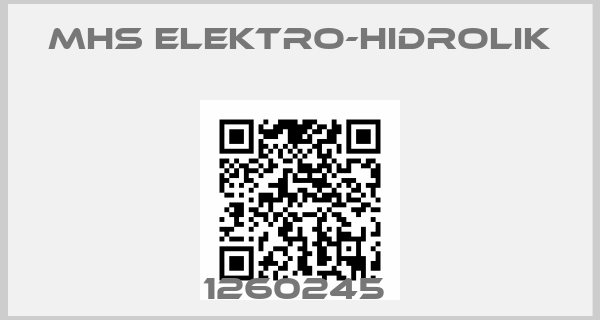 MHS Elektro-Hidrolik-1260245 
