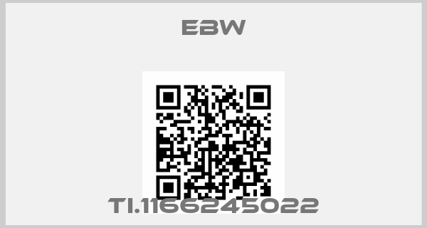 EBW-TI.1166245022