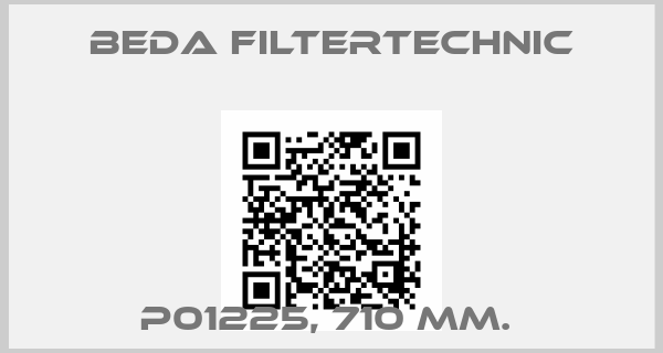 Beda Filtertechnic-P01225, 710 MM. 