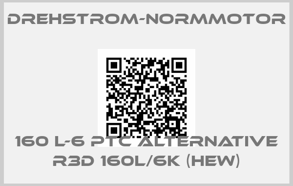 Drehstrom-Normmotor-160 L-6 PTC alternative R3D 160L/6K (HEW)