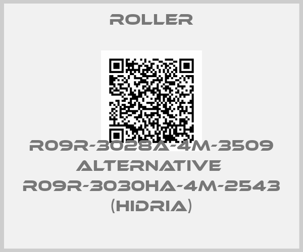 Roller-R09R-3028A-4M-3509 alternative  R09R-3030HA-4M-2543 (Hidria)