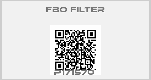 FBO Filter-P171570 