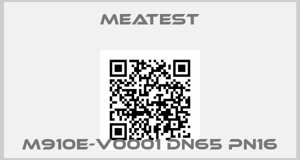meatest-M910E-V0001 DN65 PN16