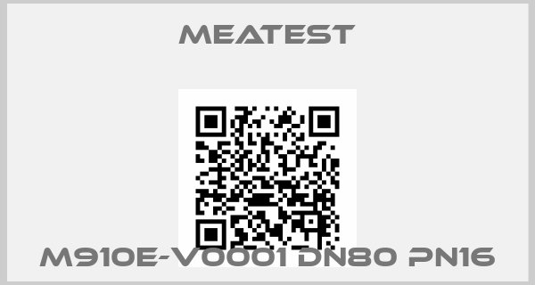 meatest-M910E-V0001 DN80 PN16