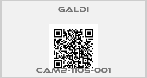 Galdi-CAM2-1105-001