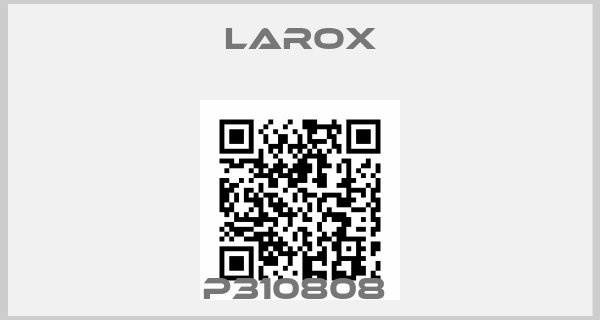 Larox-P310808 