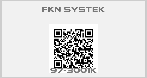 Fkn Systek-97-3001K