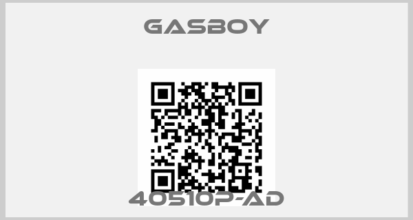 Gasboy-40510P-AD