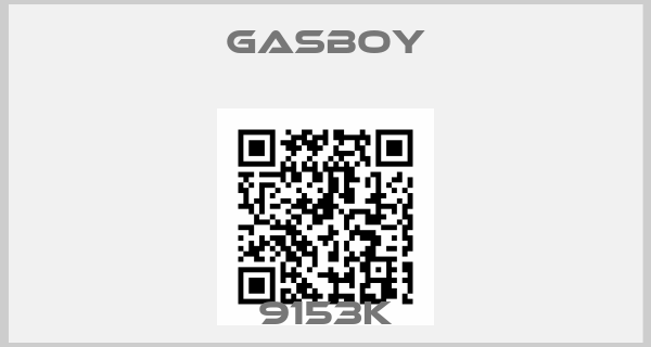 Gasboy-9153K