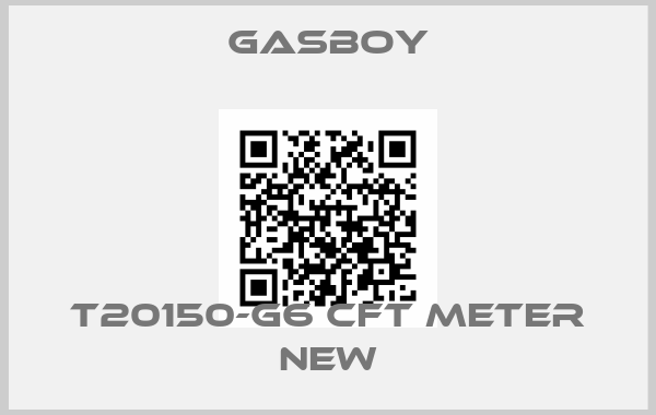 Gasboy-T20150-G6 CFT Meter NEW