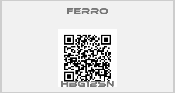 Ferro-HBG12SN