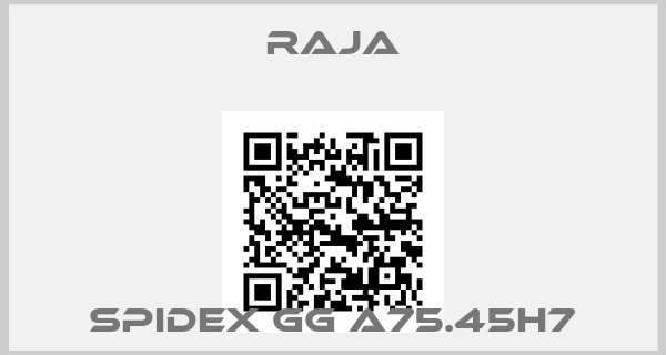 Raja-SPIDEX GG A75.45H7