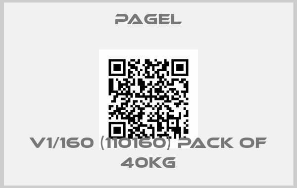 Pagel-V1/160 (110160) pack of 40kg