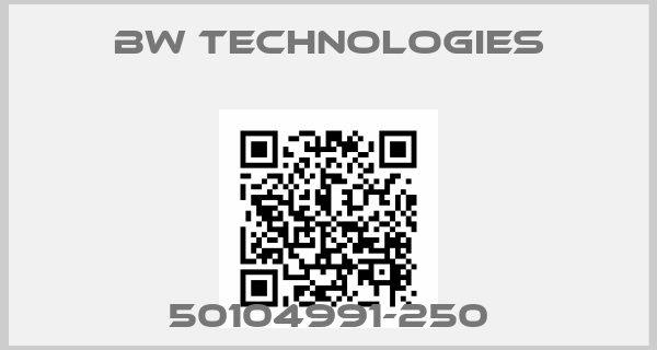 BW Technologies-50104991-250