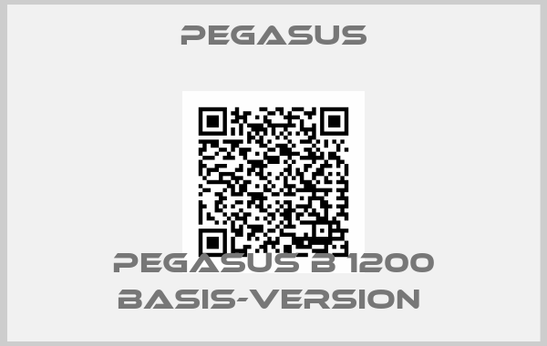 Pegasus-PEGASUS B 1200 BASIS-VERSION 