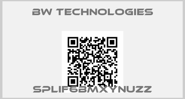 BW Technologies-SPLIF6BMXYNUZZ