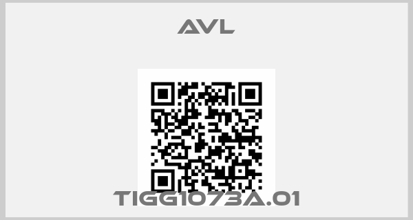 Avl-TIGG1073A.01