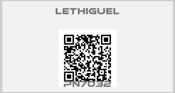 LETHIGUEL-PN7032