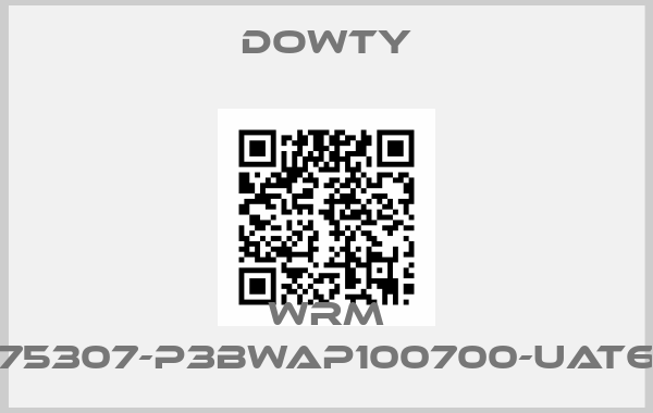 DOWTY-WRM 275307-P3BWAP100700-UAT62