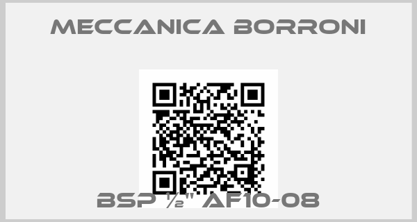 Meccanica Borroni-BSP ½" AF10-08