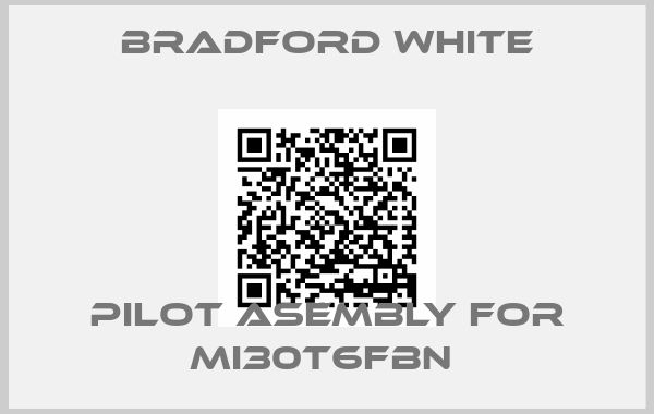 Bradford White-Pilot Asembly for MI30T6FBN 