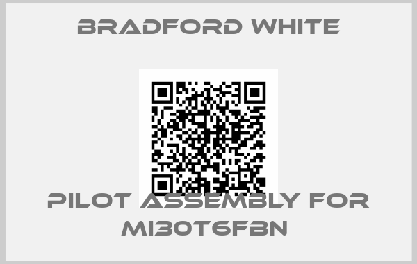 Bradford White-Pilot Assembly for MI30T6FBN 