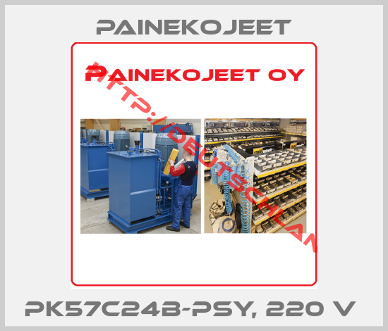 Painekojeet-PK57C24B-PSY, 220 V 
