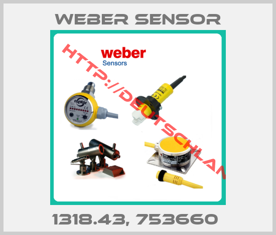 Weber Sensor-1318.43, 753660 