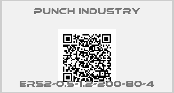 PUNCH INDUSTRY-ERS2-0.5-1.2-200-80-4