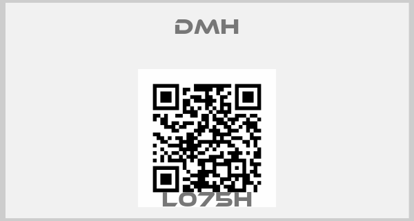 DMH-L075H