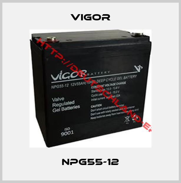 VIGOR-NPG55-12