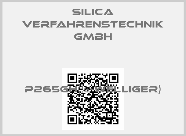 SILICA Verfahrenstechnik GmbH-P265GH(½-welliger)