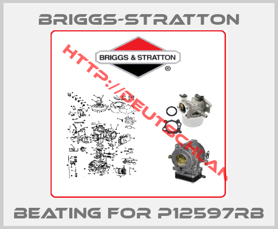 Briggs-Stratton-beating for P12597RB