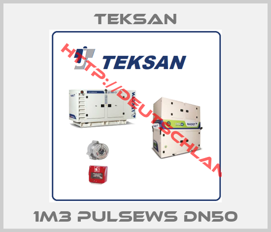 TEKSAN-1M3 PULSEWS DN50