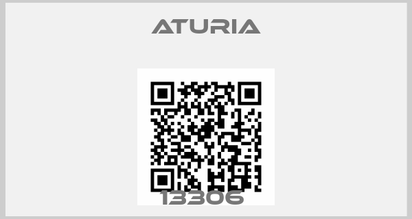 Aturia-13306 