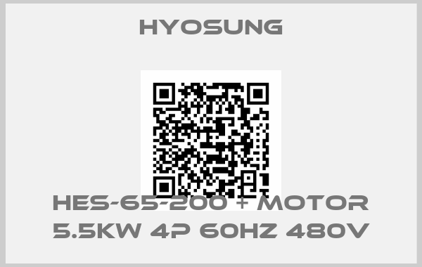 Hyosung-HES-65-200 + Motor 5.5kW 4P 60Hz 480V