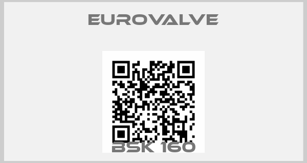 Eurovalve-BSK 160