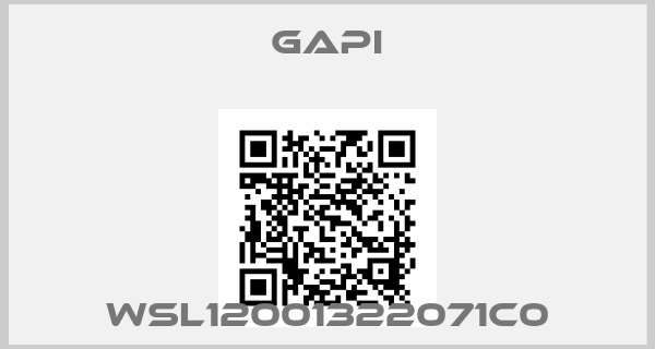 Gapi-WSL12001322071C0