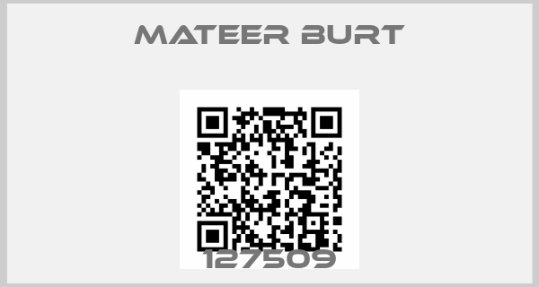 MATEER BURT-127509