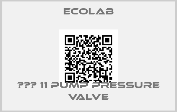 Ecolab-ЕМР 11 Pump pressure valve
