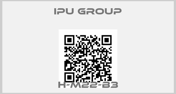IPU Group-H-M22-B3