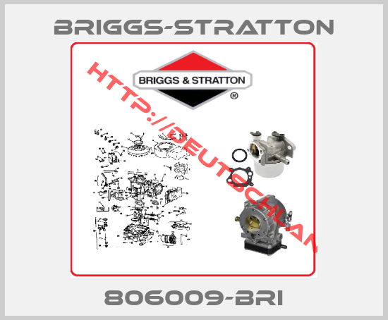 Briggs-Stratton-806009-BRI