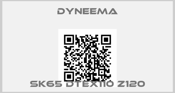 Dyneema-SK65 dtex110 Z120