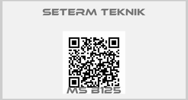 Seterm Teknik-MS B125
