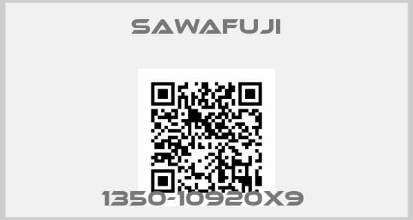 Sawafuji-1350-10920X9 