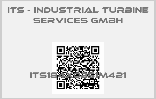 ITS - Industrial Turbine Services GmbH-ITS184X0251M421