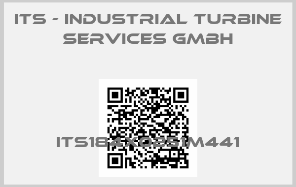 ITS - Industrial Turbine Services GmbH-ITS184X0251M441