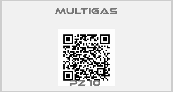 Multigas-PZ 10 