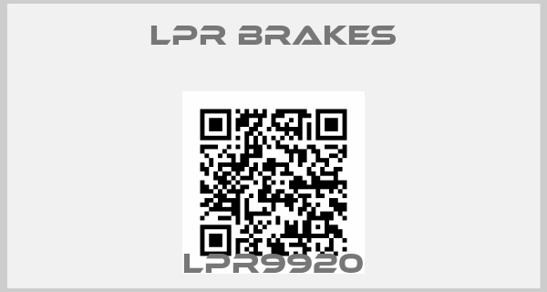 LPR Brakes-LPR9920