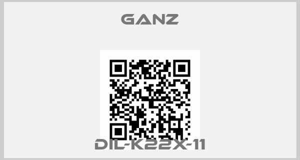 Ganz-DIL-K22X-11